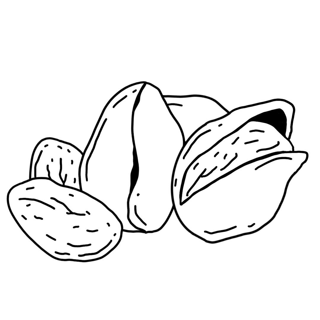 Pistachio Fragrance Note