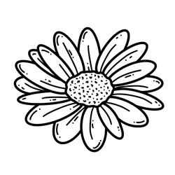 Daisy Illustration