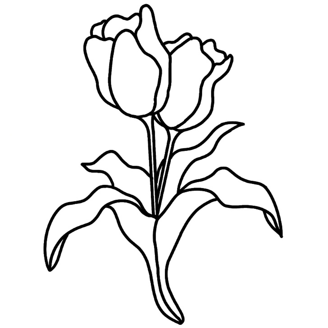 Tulip fragrance note