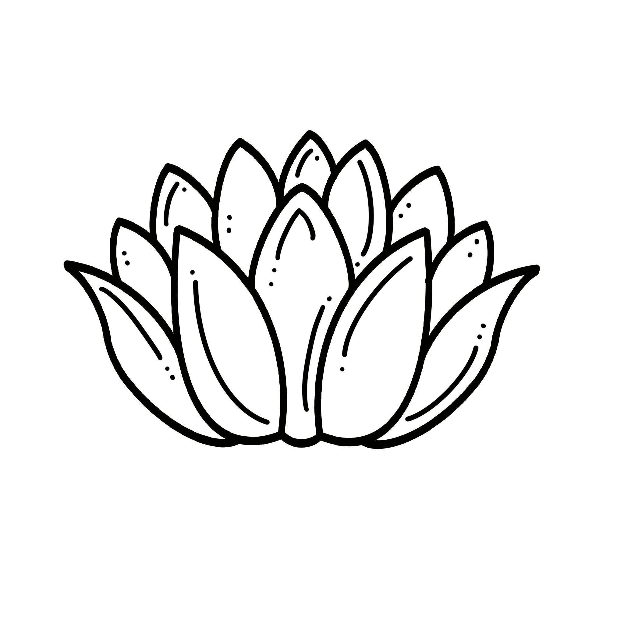 Lotus Flower Fragrance Note