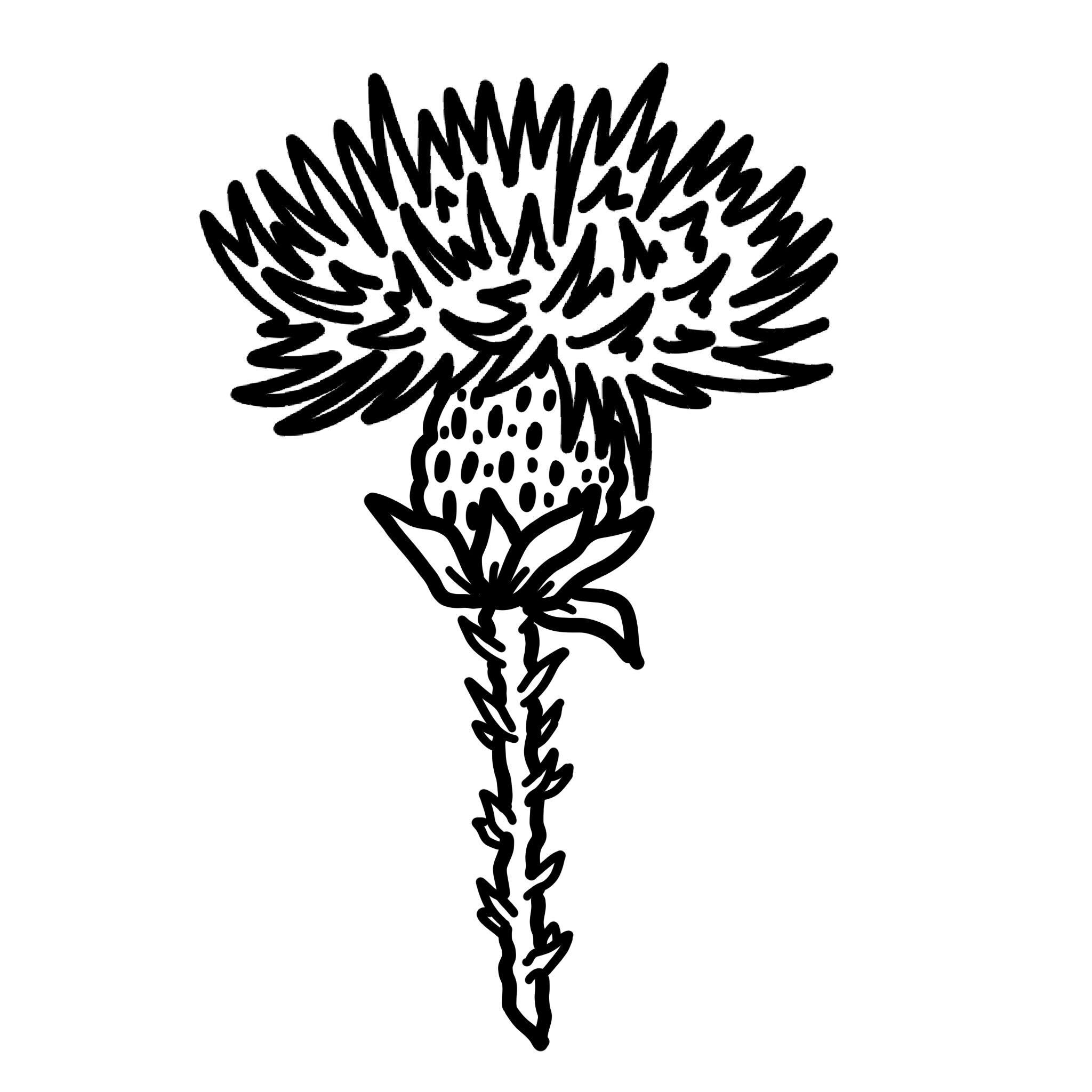 Thistle Fragrance Note